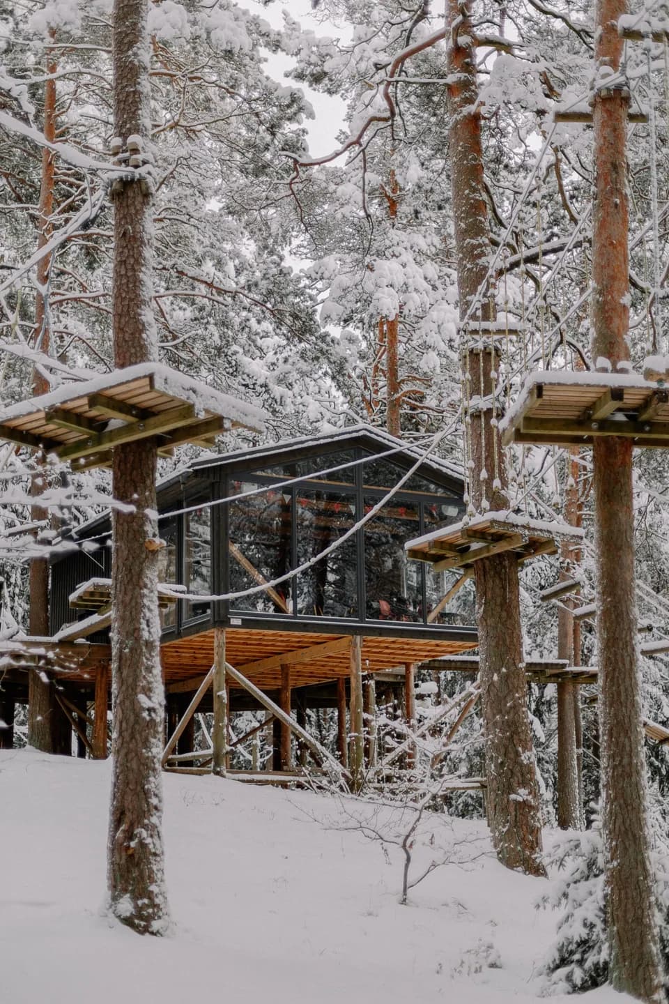 BookNoFees exempelbild: Glastäckt trädkoja i en snötäckt skog