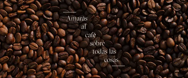 BookNoFees: Kafé – Religion - Specialty coffee – Madrid – Religion – Specialkaffe, bild 3
