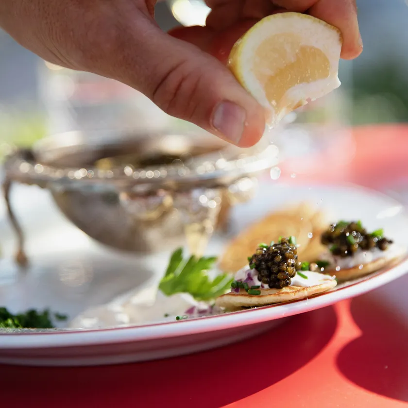 BookNoFees: Snackbar – Gentofte Bistro – Copenhagen – Gentofte Bistro, bild 1