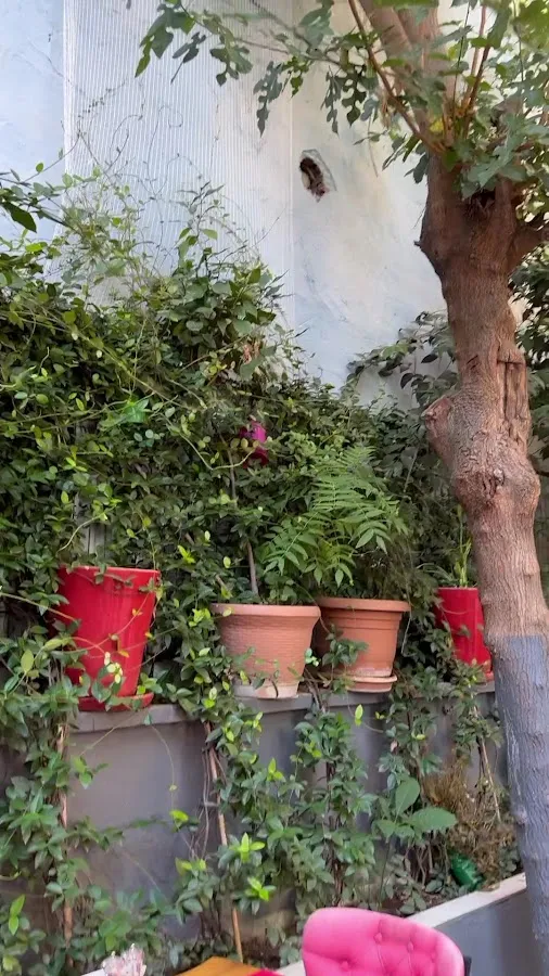 BookNoFees: Restaurang – Hidden Garden Sultanat – Istanbul – Hidden Garden Sultanat, bild 3