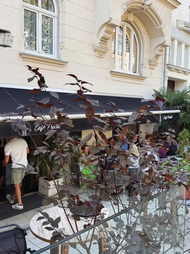 BookNoFees: Kafé – Café Friedl – Vienna – Café Friedl, bild 3